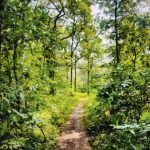 17744152059451726433326381527879 - Pragati Kor